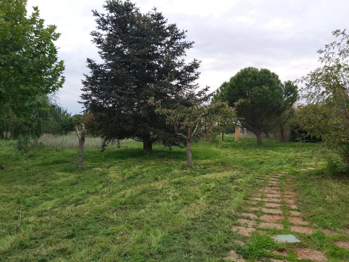 Casa Chalet En El Campo Barbadillo エクステリア 写真