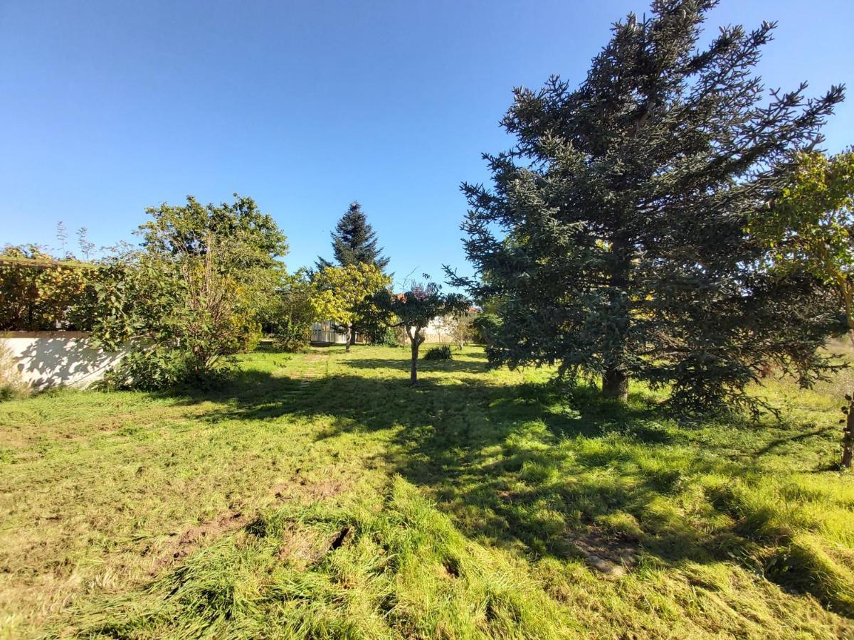 Casa Chalet En El Campo Barbadillo エクステリア 写真