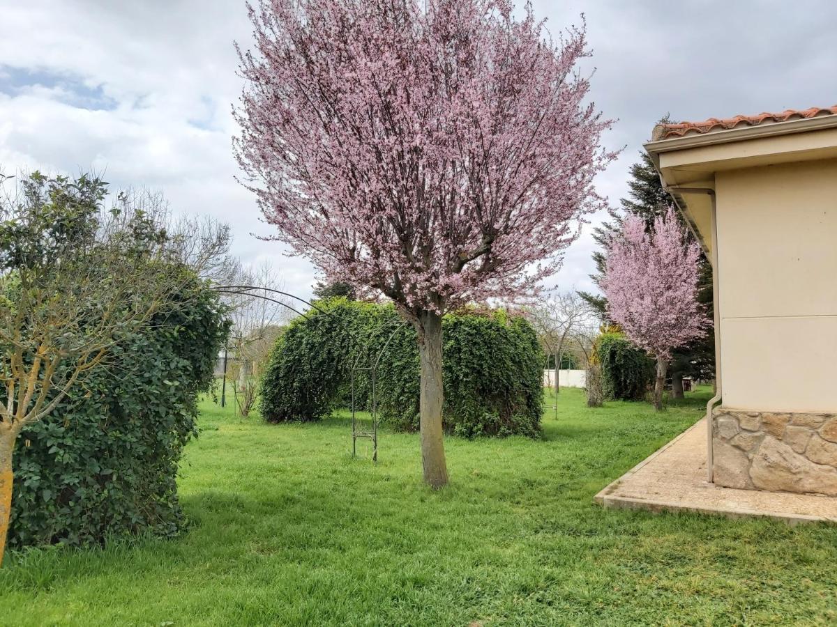 Casa Chalet En El Campo Barbadillo エクステリア 写真