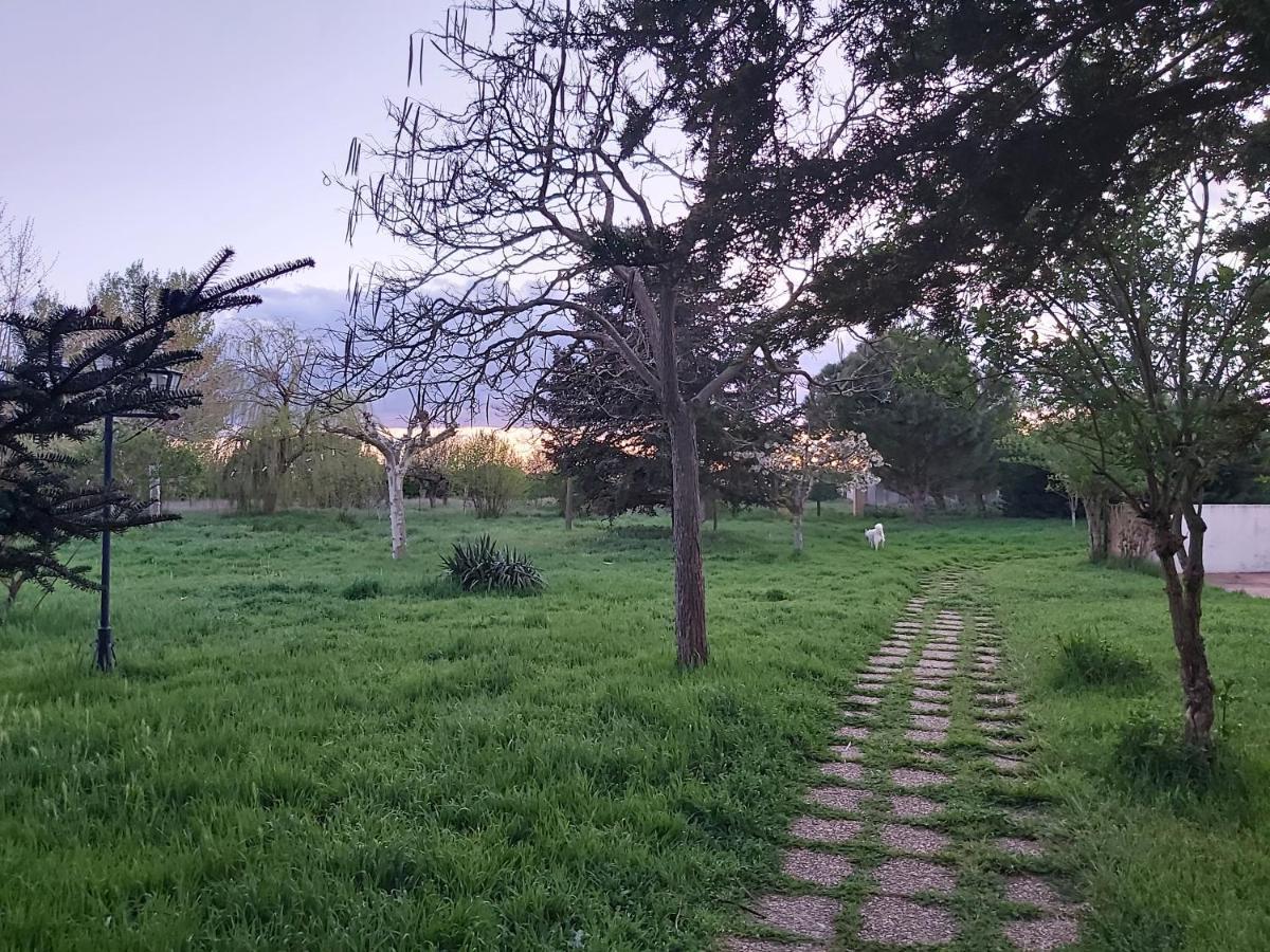 Casa Chalet En El Campo Barbadillo エクステリア 写真